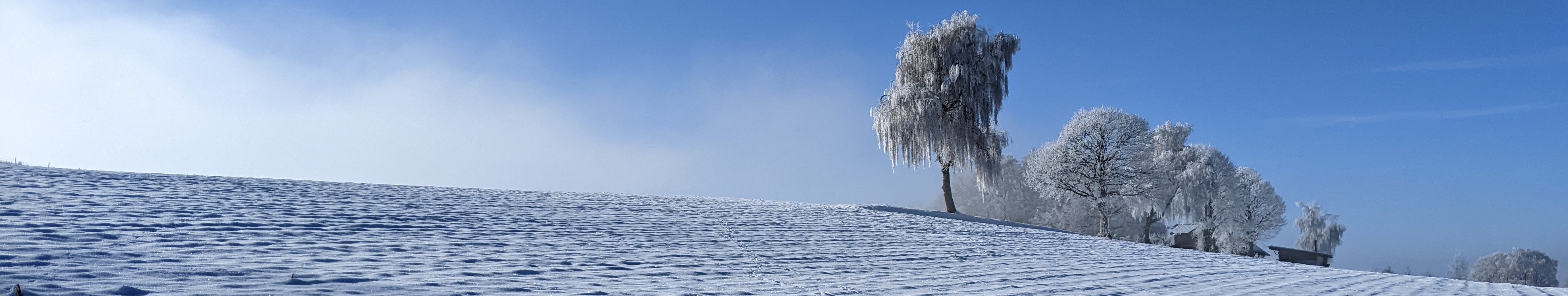 winterstimmung höhe mamishaus